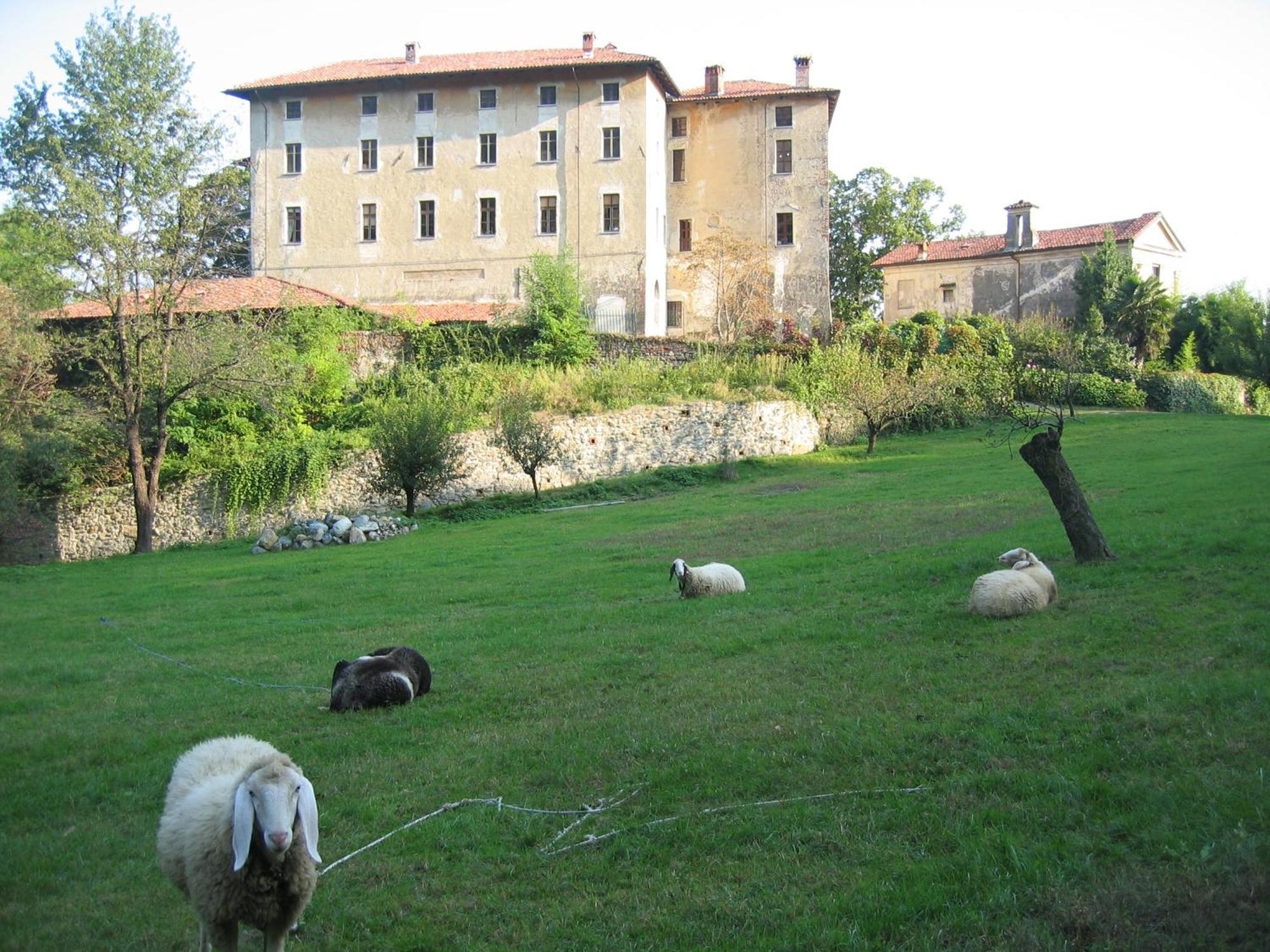B&B Castello Di Camerletto Caselette Eksteriør billede